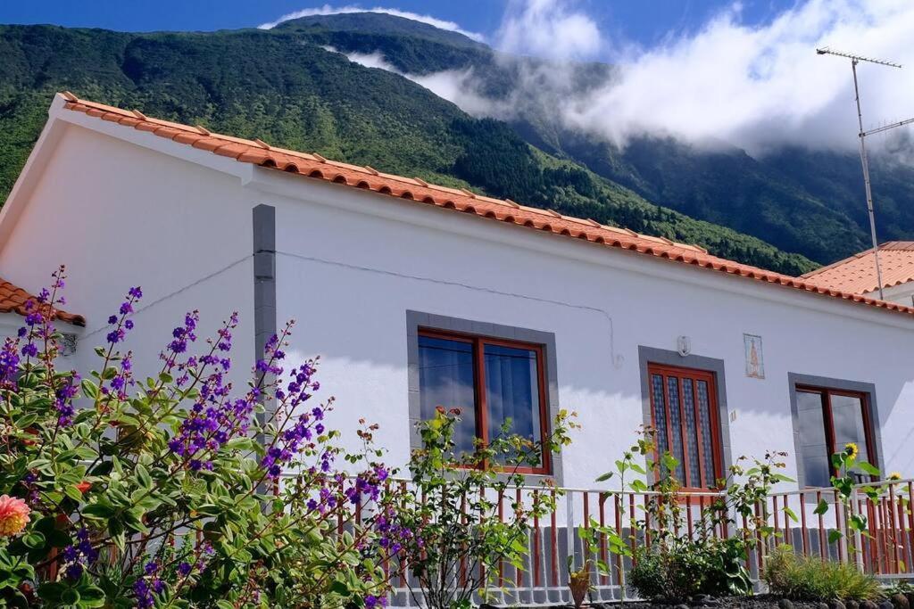 Sunflower Guest House - Madalena - Pico Sao Caetano  Exterior photo