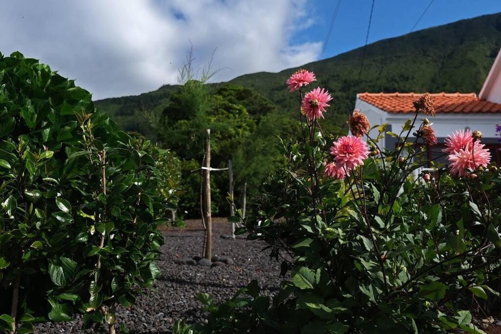 Sunflower Guest House - Madalena - Pico Sao Caetano  Exterior photo