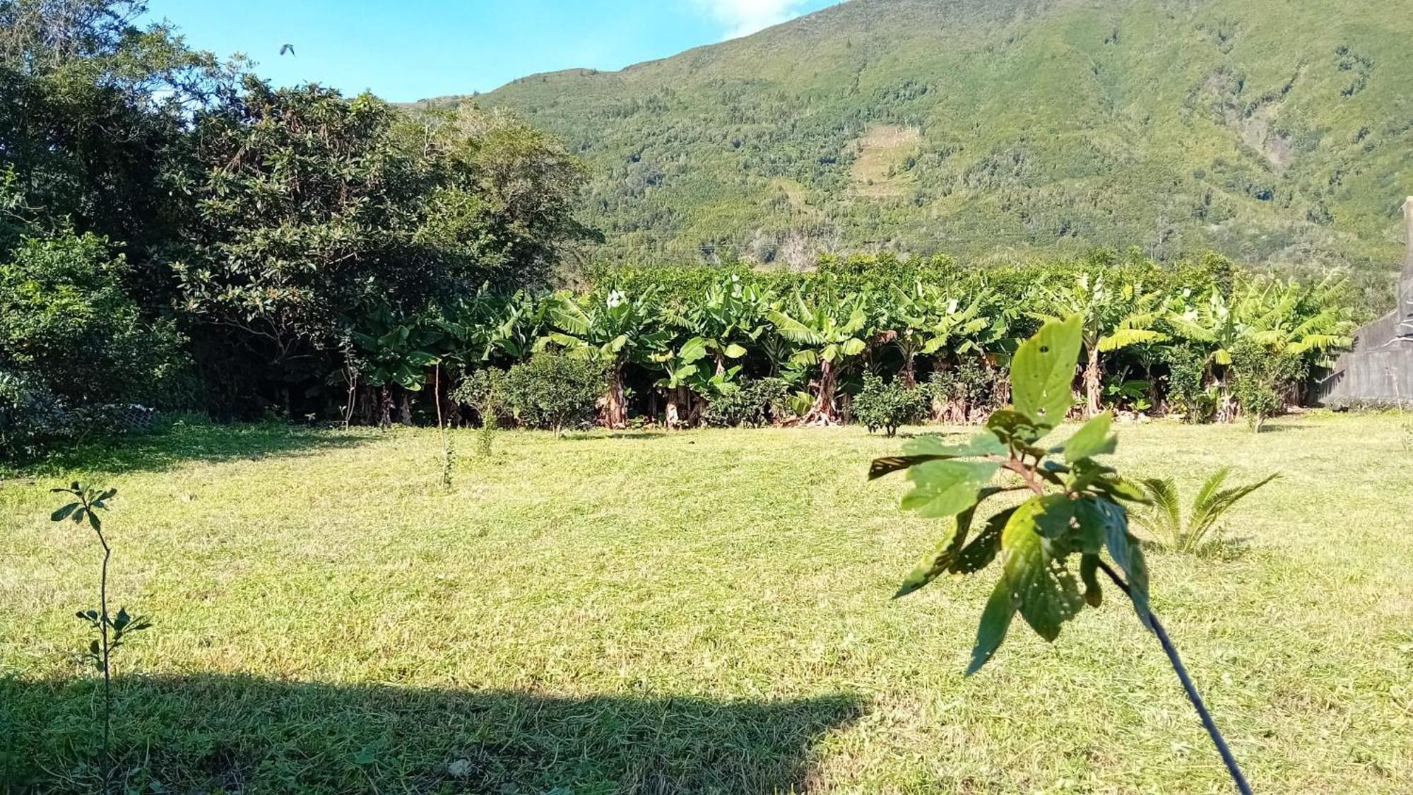 Sunflower Guest House - Madalena - Pico Sao Caetano  Exterior photo